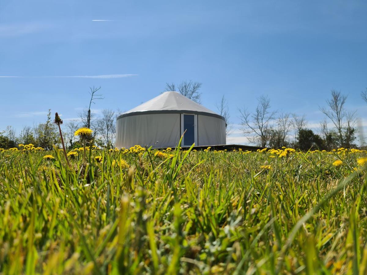 Camping A La Ferme - Hebergements Insolites Cerisy-la-Foret Eksteriør billede