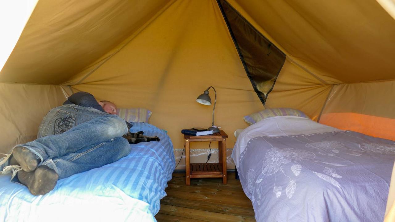 Camping A La Ferme - Hebergements Insolites Cerisy-la-Foret Eksteriør billede